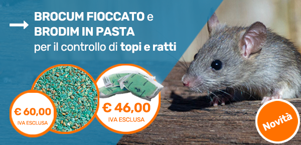 Brocum fioccato e Brodim in pasta
